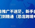 亚马逊广告推广不迷茫,新手卖家产品运营入门到精通(恐龙跨境电商)-第一资源网