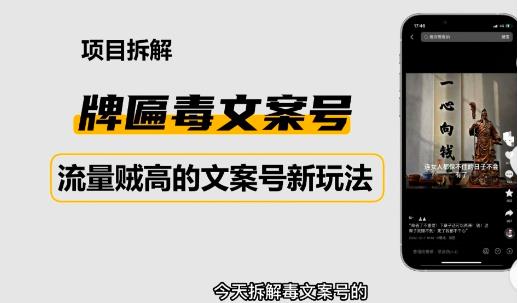 2023抖音快手毒文案新玩法，牌匾文案号，起号快易变现-第一资源网