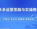 拼多多店铺运营思路与实操教程,快速学会拼多多开店和运营,少踩坑,多盈利-第一资源网