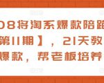 108将淘系爆款陪跑营【第11期】,21天教运营打爆款,帮老板培养运营-第一资源网