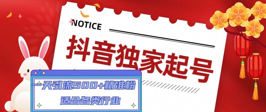 抖音独家起号，一天引流500+精准粉，适合各类行业（9节视频课）-第一资源网