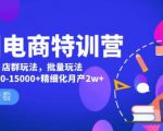 美团电商特训营:美团·店群玩法,无脑铺货月产出6000-15000+精细化月产2w+-第一资源网