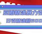 豆瓣精准暴力引流,日引精准粉500+【12课时】-第一资源网