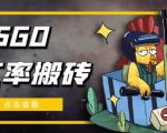 外面9800的CSGO汇率搬砖项目,一个月轻松赚几千【选品软件+详细教程】-第一资源网
