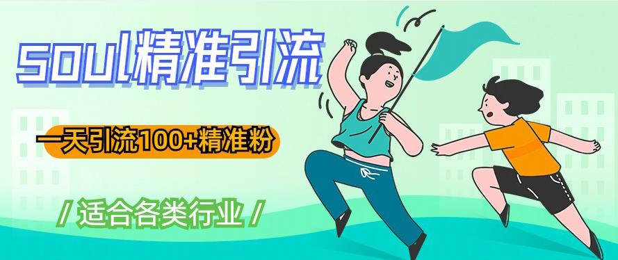 soul精准引流系列课程，一天引流100+精准粉，适合各类行业-第一资源网