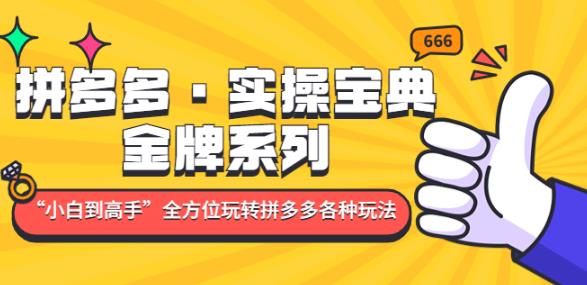 拼多多·实操宝典：金牌系列“小白到高手”带你全方位玩转拼多多各种玩法-第一资源网