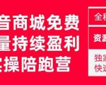 抖音商城搜索持续盈利陪跑成长营,抖音商城搜索从0-1、从1到10的全面解决方案-第一资源网