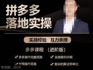 拼多多实战篇·落地实操:多多操作完整思路+实操案例讲解+拆解操作思路+复杂的算法简单化-第一资源网