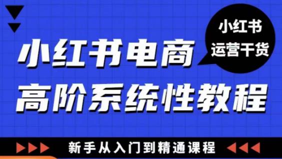 小红书电商高阶系统教程，新手从入门到精通系统课-第一资源网
