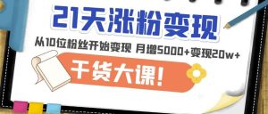 21天精准涨粉变现干货大课:从10位粉丝开始变现月增5000+变现20w+-第一资源网