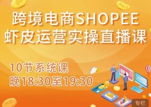 跨境电商Shopee虾皮运营实操直播课,从零开始学,入门到精通(10节系统课)-第一资源网