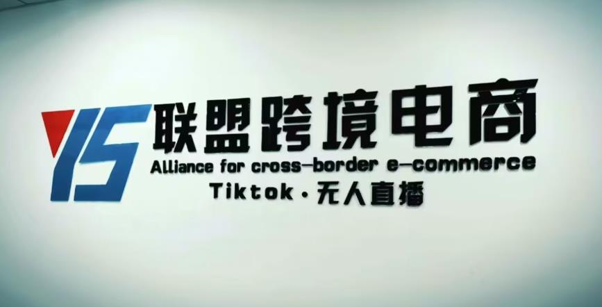 YS联盟·Tiktok无人直播，不出镜不剪辑不拍摄不发货无售后的跨境短视频躺赚玩法-第一资源网