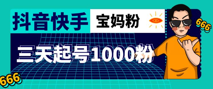 抖音快手三天起号涨粉1000宝妈粉丝的核心方法【详细玩法教程】-第一资源网