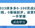 2023拼多多0-100实战运营教程,0基础起步,运营知识一手掌握-第一资源网