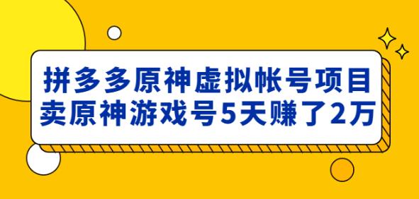 外面卖2980的拼多多原神虚拟帐号项目：卖原神游戏号5天赚了2万-第一资源网