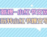 一写就爆-小红书文案课:带你玩转小红收爆文写作(45节课)-第一资源网