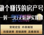 刘广标·同城房产号线上陪跑课,拍摄、剪辑、写文案、直播,做一个具有潜力价值的房产号-第一资源网
