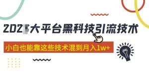 大平台黑科技引流技术，小白也能靠这些技术混到月入1w+(2022年的课程）-第一资源网
