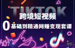 跨境短视频TIKTOK 0基础到精通网赚变现套课,跨境短视频独立站带货变现技巧-第一资源网