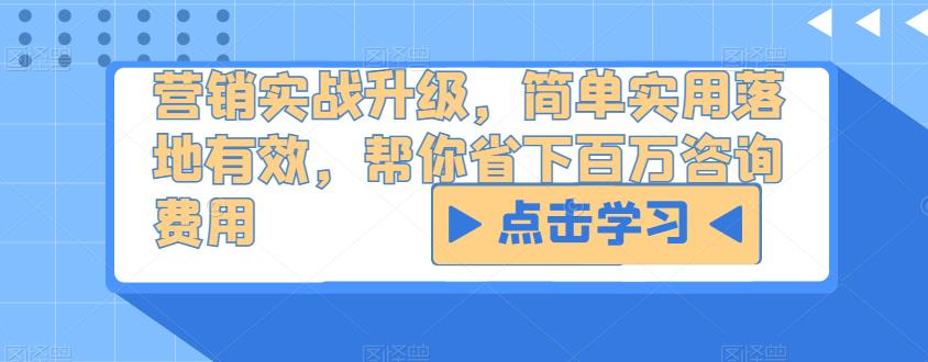 营销实战升级，简单实用落地有效，帮你省下百万咨询费用-第一资源网