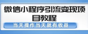 微信小程序引流变现项目教程,当天操作当天就有收益,变现不再是难事-第一资源网