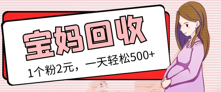 最新宝妈粉回收变现计划及胎教音乐高端变现玩法全套教程！（非老玩法）-第一资源网