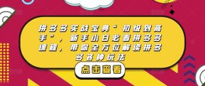 拼多多实战宝典“初级到高手”,新手小白必看拼多多课程,带你全方位解读拼多多各种玩法-第一资源网