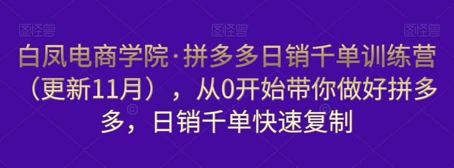 白凤电商学院·拼多多日销千单训练营，从0开始带你做好拼多多，日销千单快速复制（更新知2023年3月）-第一资源网