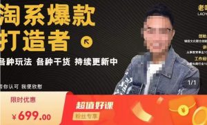 锋投老叶全店动销,淘系干货汇总,各种玩法,淘系爆款打造者-第一资源网