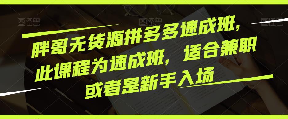 胖哥无货源拼多多速成班，此课程为速成班，适合兼职或者是新手入场-第一资源网