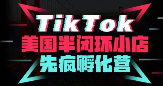 疯人院·TikTok美国半闭环小店孵化营，抢占TikTok美国蓝海市场，开店、运营、带货、投流全实操-第一资源网