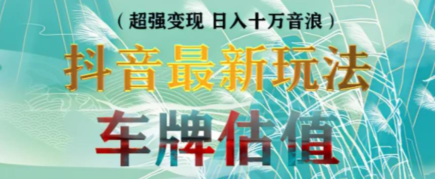 抖音最新无人直播变现直播车牌估值玩法项目，轻松日赚几百+【详细玩法教程】-第一资源网