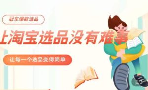 冠东·爆款店铺淘系爆款选品方法,23年从选品开始,一个好的选品思路决定于你是否盈利-第一资源网