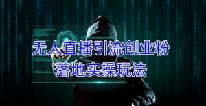 外面收费3980的无人直播引流创业粉落地实操玩法,单日引100+精准创业粉-第一资源网