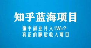 知乎蓝海玩法,躺平副业月入1W+,真正的睡后收入项目(6节视频课)-第一资源网