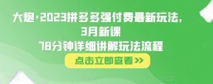 大炮·2023拼多多强付费最新玩法,3月新课78分钟详细讲解玩法流程-第一资源网