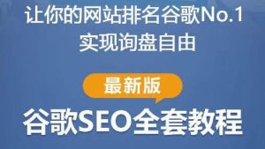 谷歌SEO实战教程:如何让你的网站在谷歌排名第一,内容从入门到高阶,适合个人及团队-第一资源网