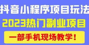 抖音小程序9.0新技巧,2023热门副业项目,动动手指轻松变现-第一资源网