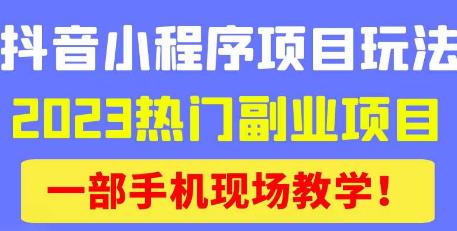 抖音小程序9.0新技巧，2023热门副业项目，动动手指轻松变现-第一资源网