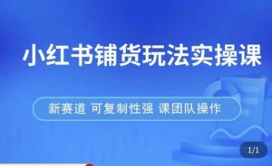 小红书铺货玩法实操课,流量大,竞争小,非常好做,新赛道,可复制性强,可团队操作-第一资源网