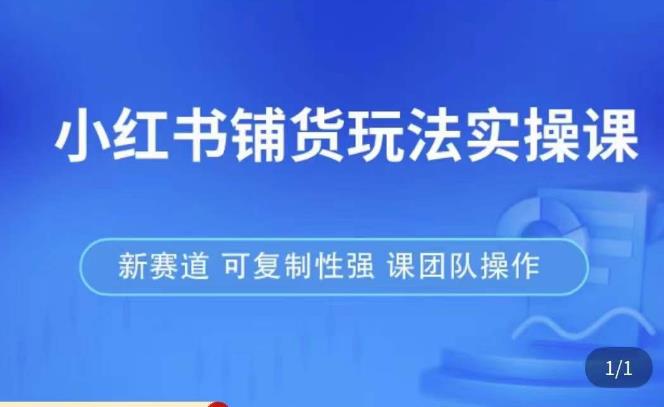 小红书铺货玩法实操课，流量大，竞争小，非常好做，新赛道，可复制性强，可团队操作-第一资源网