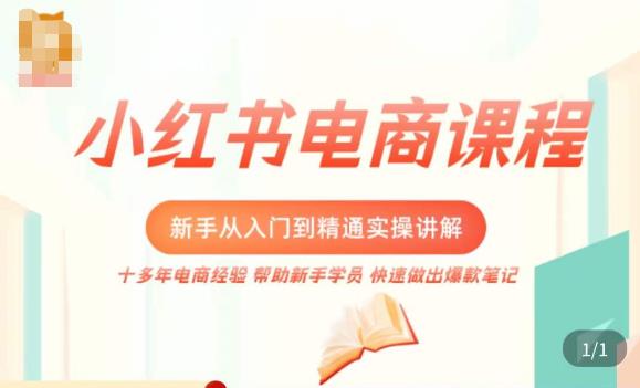 小红书电商新手入门到精通实操课，从入门到精通做爆款笔记，开店运营-第一资源网