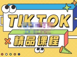 电商孵化中心·TikTok精品课程，教你玩转海外抖音，低成本创业，带您从0开始玩转TikTok-第一资源网