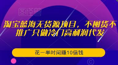 淘宝蓝海无货源项目，不囤货不推广只做冷门高利润代发，花一半时间赚10倍钱-第一资源网