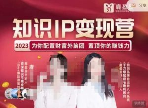 鹿盈盈-知识IP变现实操营,普通人可复制的知识产品落地实操课,带你打通知识IP变现底层逻辑-第一资源网