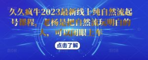 久久疯牛2023最新线上纯自然流起号课程,老杨是把自然流玩明白的人,可以闭眼上车-第一资源网