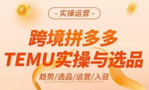 跨境拼多多TEMU实操与选品,掌握平台运营方法技巧,选品避坑12条标准,爆款的底层思路等-第一资源网