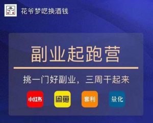 花爷-副业起跑营第2期,挑一门好副业,三周干起来(闲鱼|小红书|量化|套利)-第一资源网