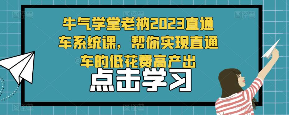 牛气学堂老衲2023直通车系统课，帮你实现直通车的低花费高产出-第一资源网