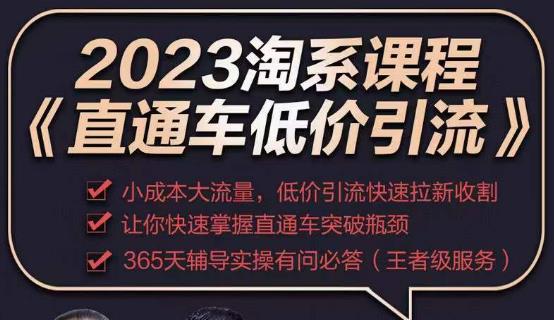2023直通车低价引流玩法课程，小成本大流量，低价引流快速拉新收割，让你快速掌握直通车突破瓶颈-第一资源网